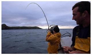 梦幻西游最新的钓鱼攻略是什么 钓鱼技巧全攻略